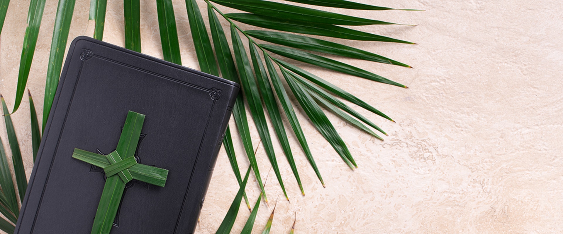 First 5 App: The Perfect Bible App for Personal and Spiritual Growth