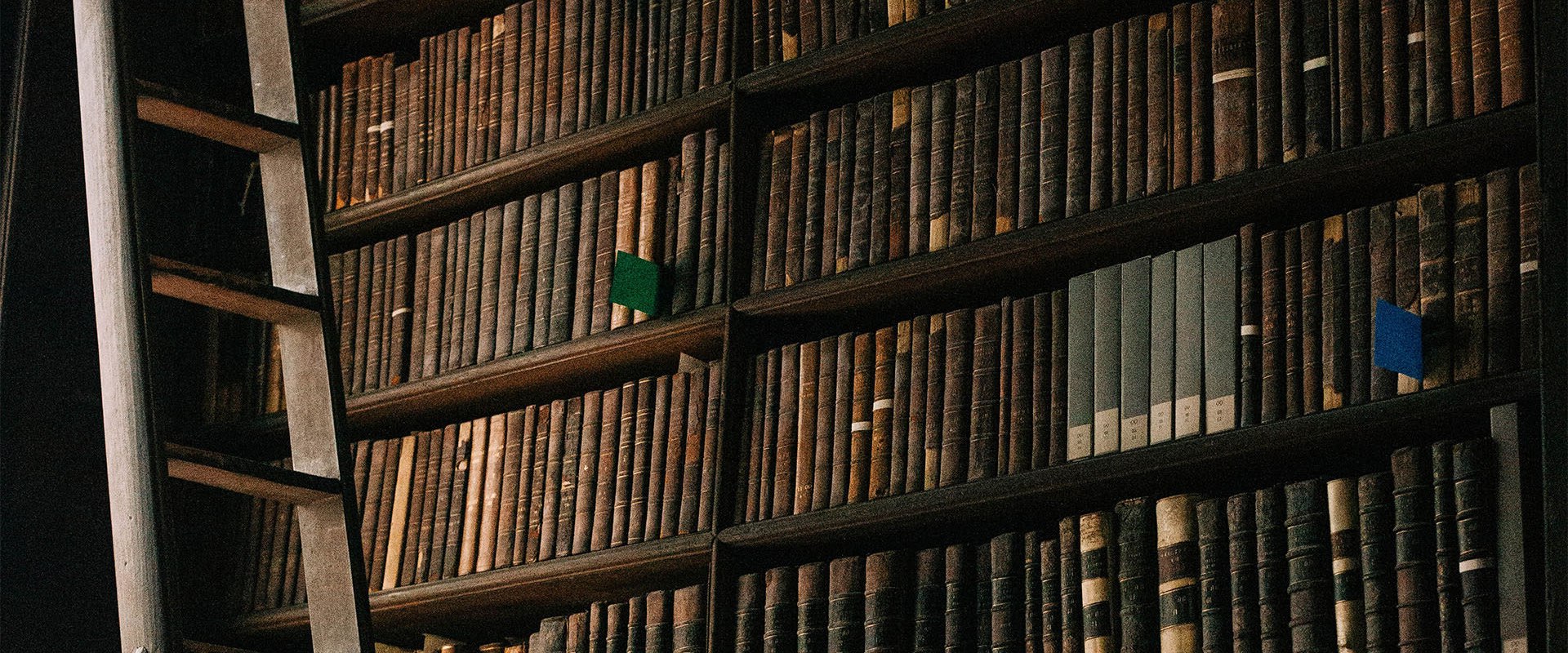 How to Borrow Bibles from Libraries for Free