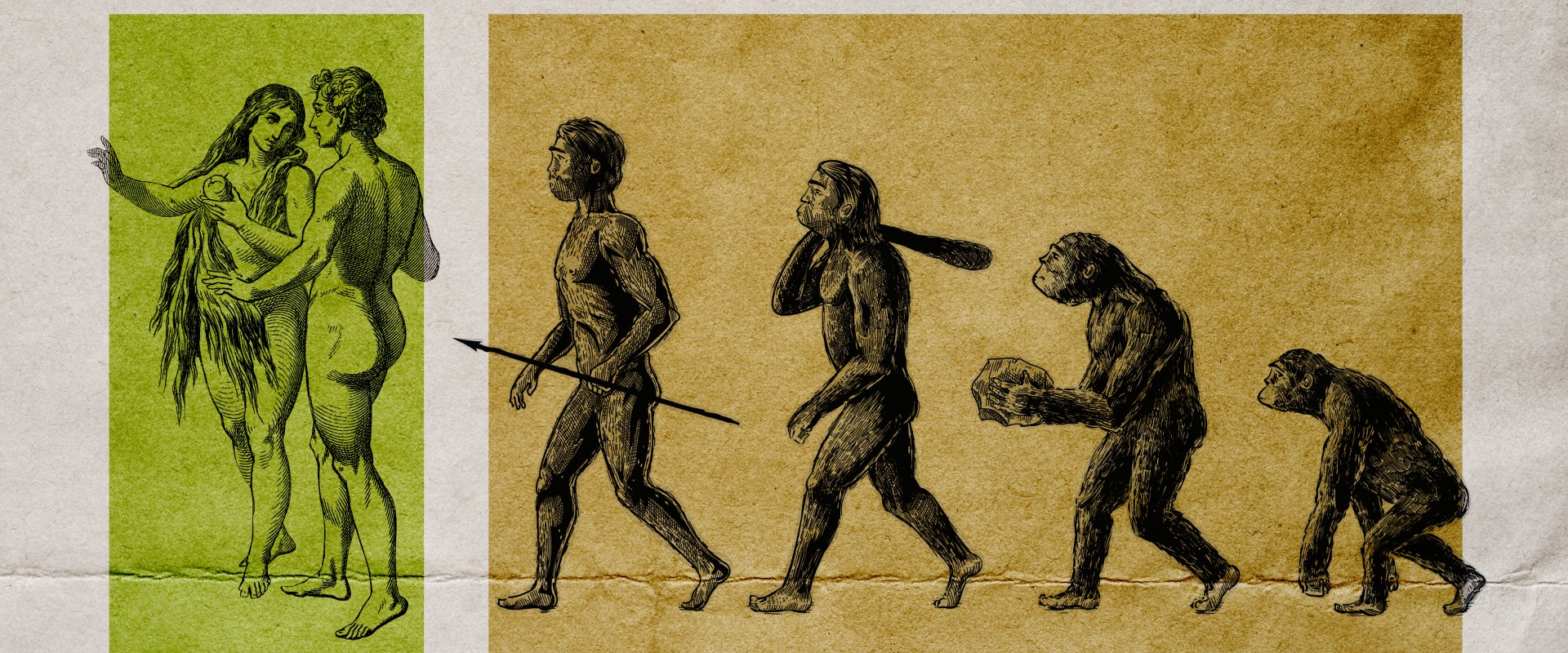 Exploring the Debate of Creation vs. Evolution
